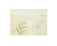 Лилия Цветная гравюра (первая половина XIX века), Япония артикул 5173b.
