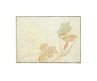 Листья на ветру Цветная гравюра (первая половина XIX века), Япония артикул 5174b.